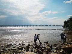 -宝安西湾红树林湿地公园