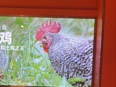 -俭寨大盘鸡·缸子肉·小公鸡·新疆菜(云通店)