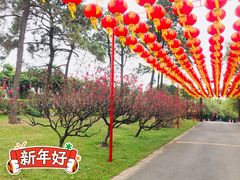 -广州莲花山旅游区