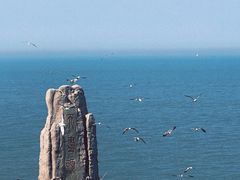 -海驴岛(荣成市)