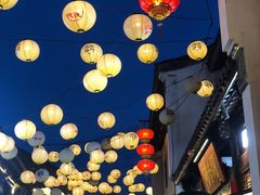 -两棵枇杷树