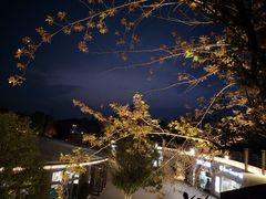 -贵阳市花溪国家城市湿地公园