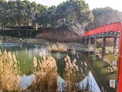 -美兰湖景区
