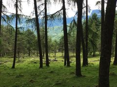 -硗碛藏寨·神木垒景区