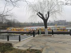 -青枫公园