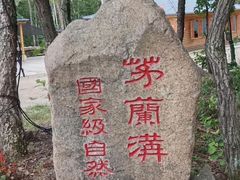 -茅兰沟国家森林公园