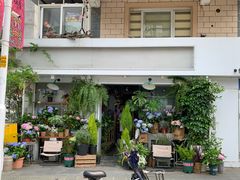 -溪岸路花鸟市场