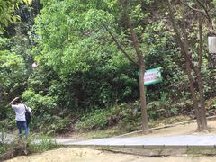 -银瓶嘴森林公园