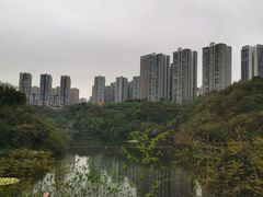 -重庆彩云湖湿地公园