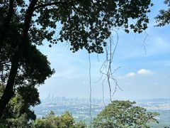-火炉山森林公园