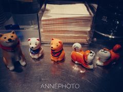 -Seesaw Coffee(上生新所店)