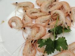 -泉龙渔村·粤式早茶·金牌烧鹅(中山三乡店)