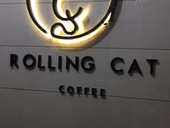 -滚猫咖啡·猫咖·猫友好撸猫(未来城店)