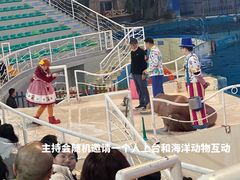 -泉城欧乐堡海洋极地世界