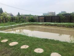 -南汇新场正宗水蜜桃采摘