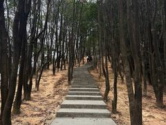 -火炉山森林公园