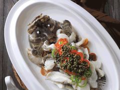 青花椒蒸龙胆鱼-闽和南(深圳万象城店)