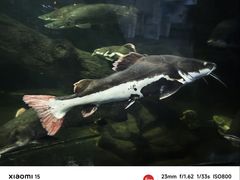 -泉州海丝野生动物世界