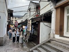 -猫的魔法密林(衣裳街店)