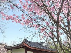 -堤角公园
