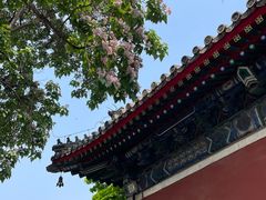 -北京艺术博物馆(万寿寺)