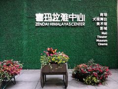 -证大喜玛拉雅中心