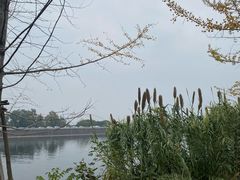 -三岔湖景区