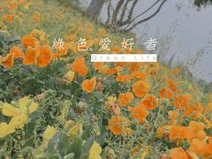 -良渚古城遗址公园