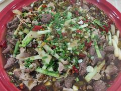 -东吴霸王兔(松青路店)