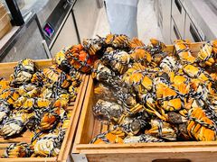 -新发展亚太JW万豪酒店·福苑咖啡厅