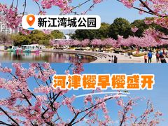 -新江湾城公园