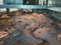 -自贡恐龙博物馆