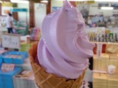 -富田农场