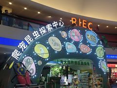 -上海大自然野生昆虫馆(东方明珠·爬宠昆虫探索中心)