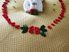 -厦门日月谷温泉渡假村