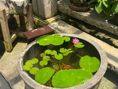 -文儒九号·闽菜馆(三坊七巷店)