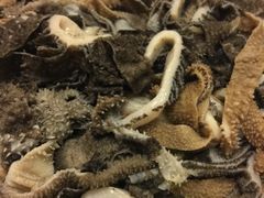 -通一顺老北京炭火锅(玉桥西路店)