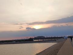 -碧海金沙