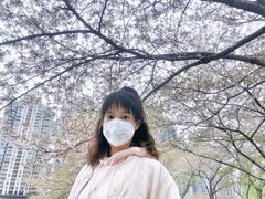 -西北湖绿化广场