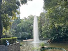 -九龙公园