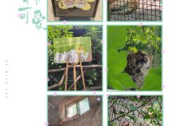 -红山森林动物园