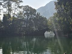 -广州市流溪河国家森林公园