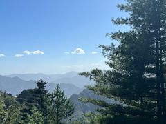 -朱雀国家森林公园