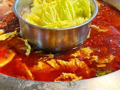 -金鼎雪山牦牛杂火锅(理县总店)