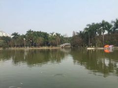 -金花茶公园