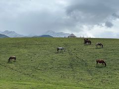 -新疆那拉提国家旅游度假区