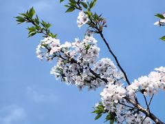 -苏州上方山国家森林公园