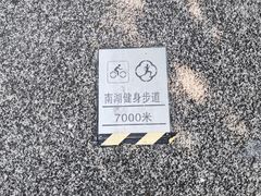 -南湖湿地公园