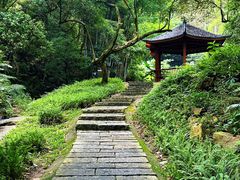 -黄埔油麻山森林公园