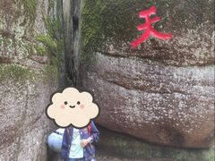 -汤旺河林海奇石景区